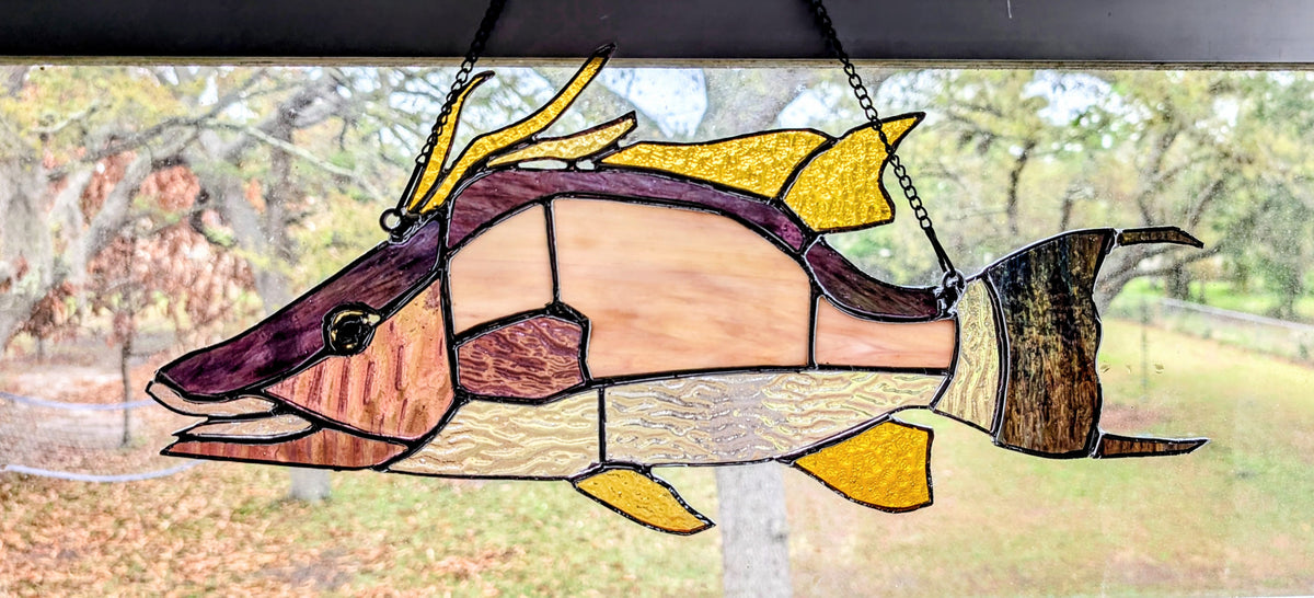 Stained Glass Hognose Snapper / Hogfish (18W x 9H)