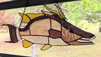 Stained Glass Hognose Snapper / Hogfish (18W x 9H)