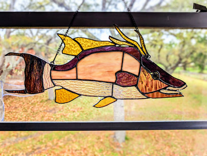 Stained Glass Hognose Snapper / Hogfish (18W x 9H)