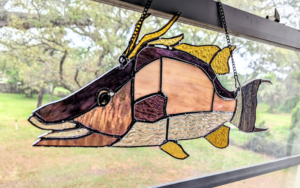 Stained Glass Hognose Snapper / Hogfish (18W x 9H)