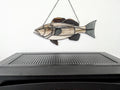 Stained Glass Gag Grouper Suncatcher, Saltwater Sportfishing Home Decor, Coastal Window Hanging, Fishing Gift (Copy)