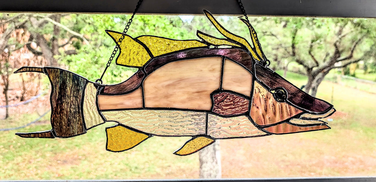 Stained Glass Hognose Snapper / Hogfish (18W x 9H)